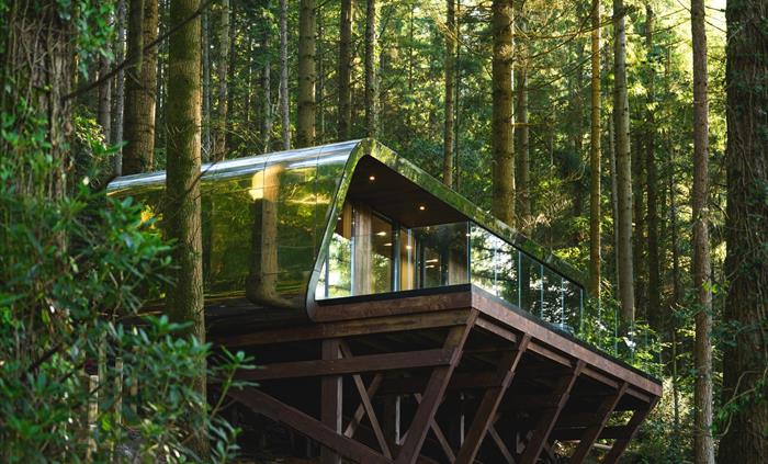 Zip World Forest Lodge side